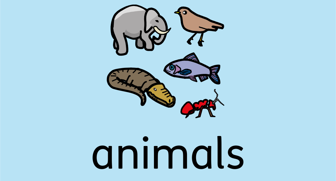 Animals